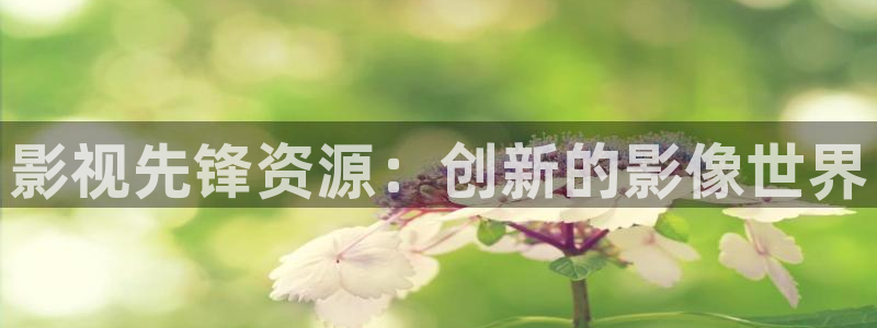 久久青草国产影院欧美：影视先锋资源：创新的影像世界