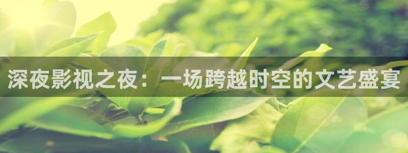 日本久久高清：深夜影视之夜：一场跨越时空的文艺盛宴