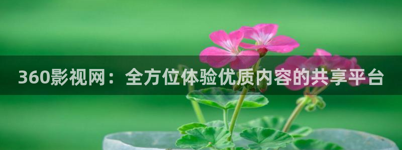 99re久久精品视频：360影视网：全方位体验优质内容的共享平台