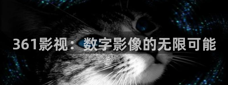 久久久99免费视频