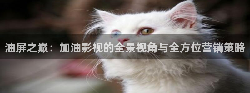 久久人人爽人人爽人人片