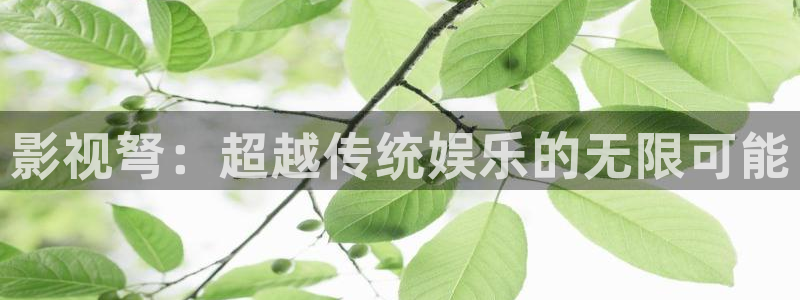 久久免费www视频