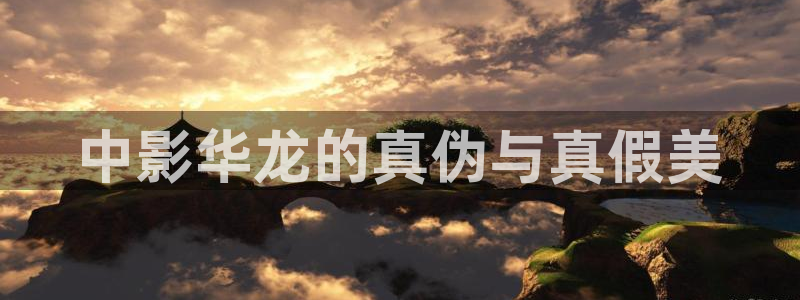 久久碰在线