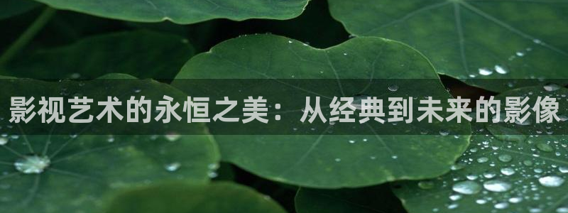 亚洲成人影院久久