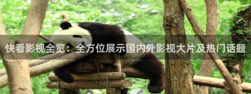 久久免费精品视频在线播放