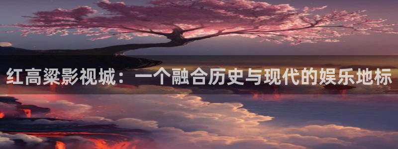 久久亚洲精品视频网站上