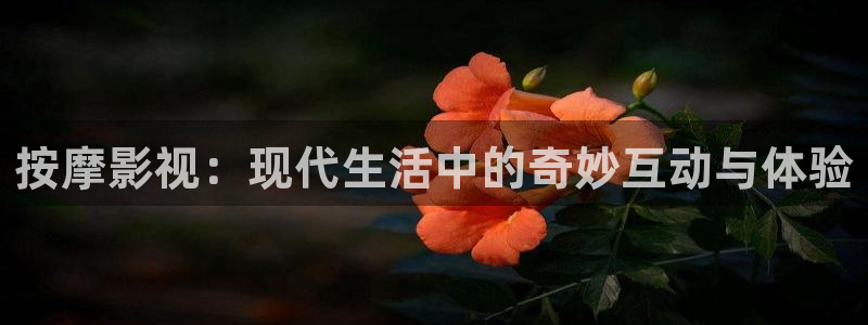 亚洲日本久久高清