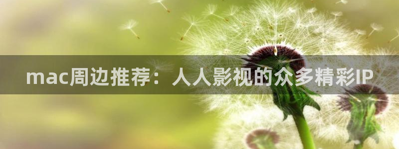 2019久久视频这里有精品15