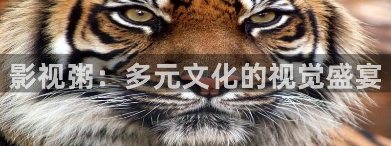 久久视视频在线观看